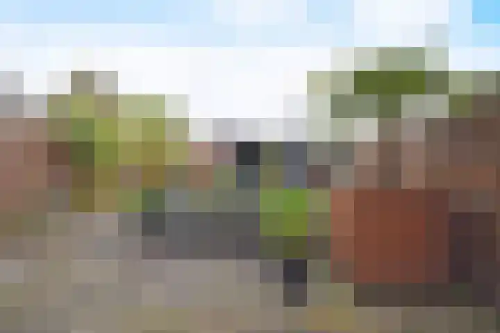 De Tuije 61 Garyp thumbnail 7