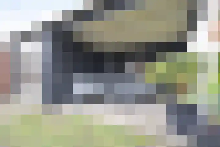 De Tuije 61 Garyp thumbnail 9