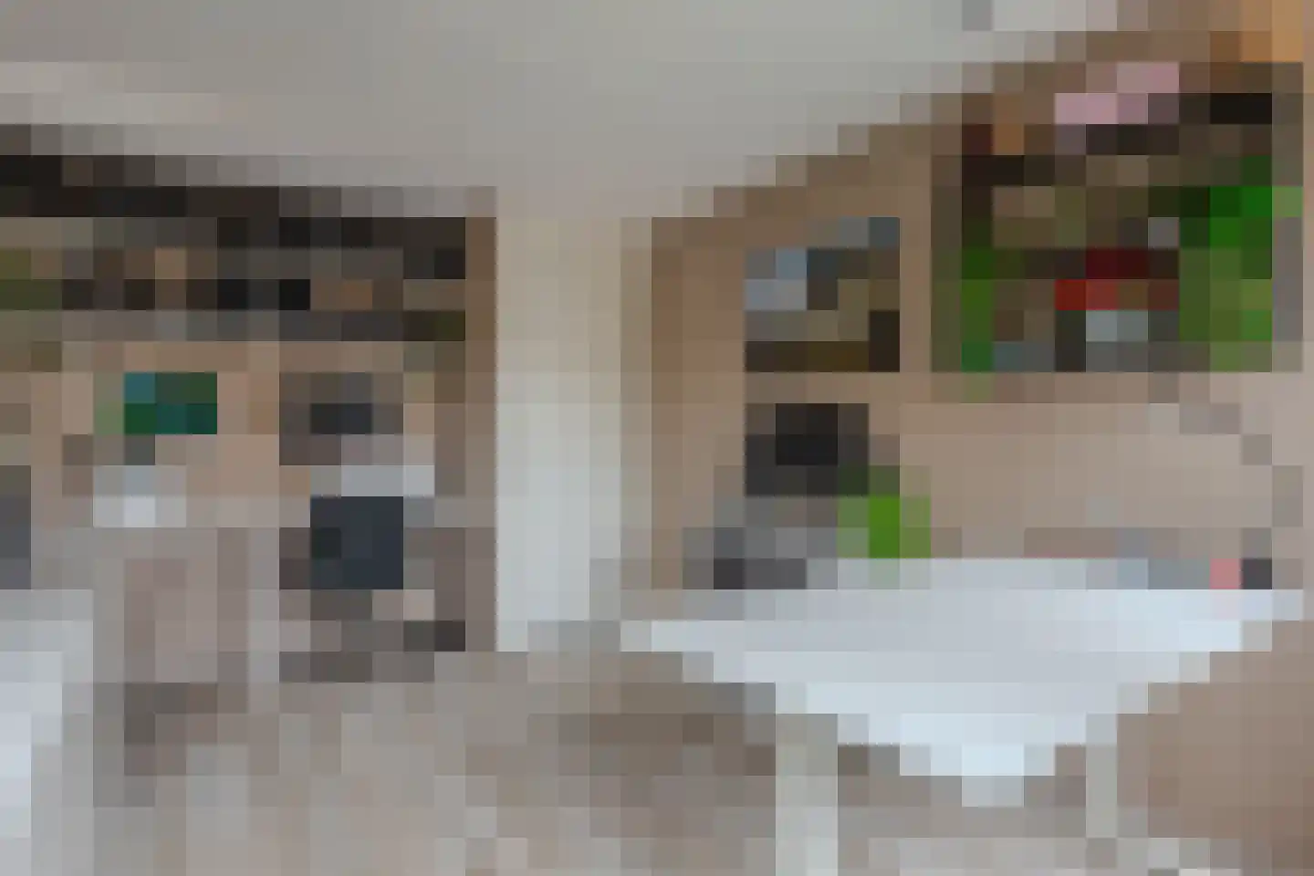 de Tulp 44 Hoogerheide thumbnail 23