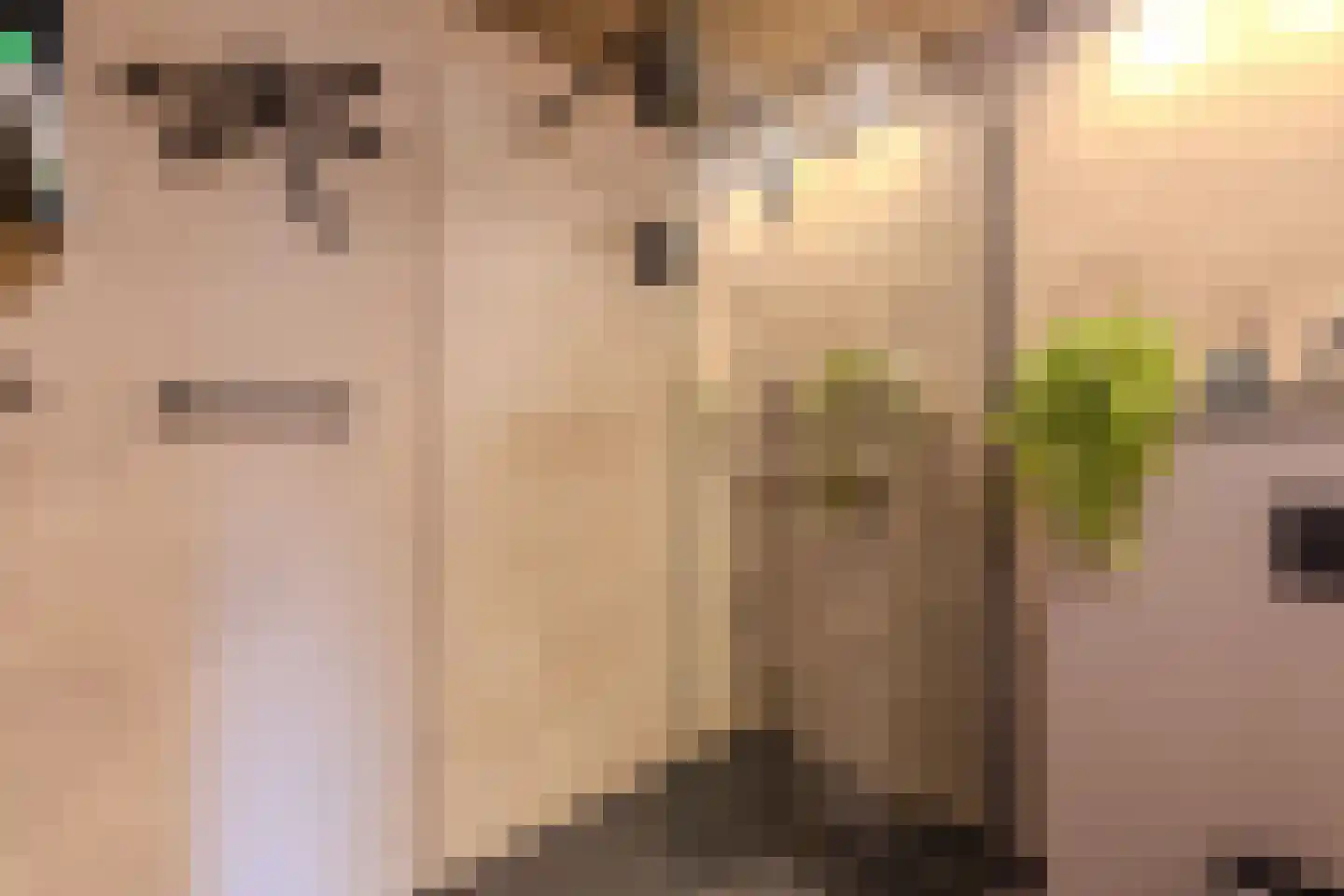 de Tulp 44 Hoogerheide thumbnail 31
