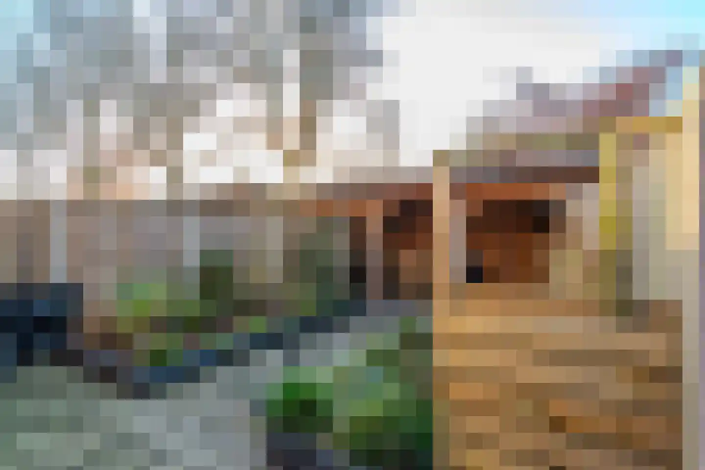 de Tulp 44 Hoogerheide thumbnail 41