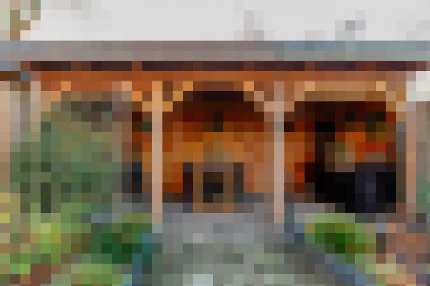 de Tulp 44 Hoogerheide thumbnail 43