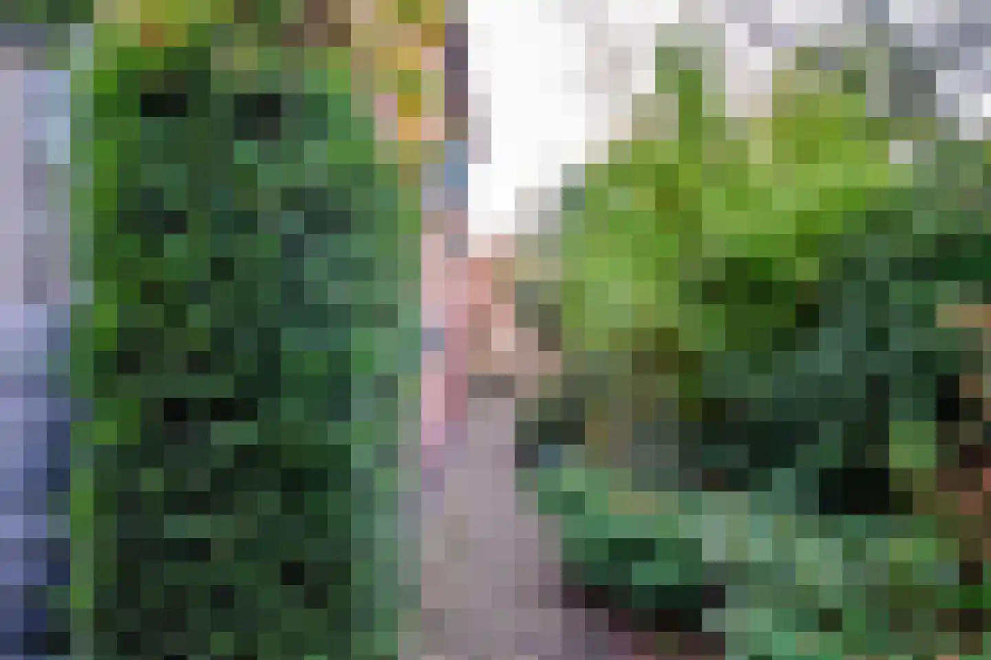 de Tulp 44 Hoogerheide thumbnail 50