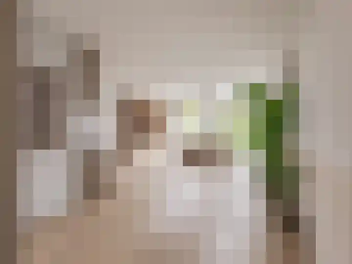 De Tunen 1 Ryptsjerk thumbnail 4