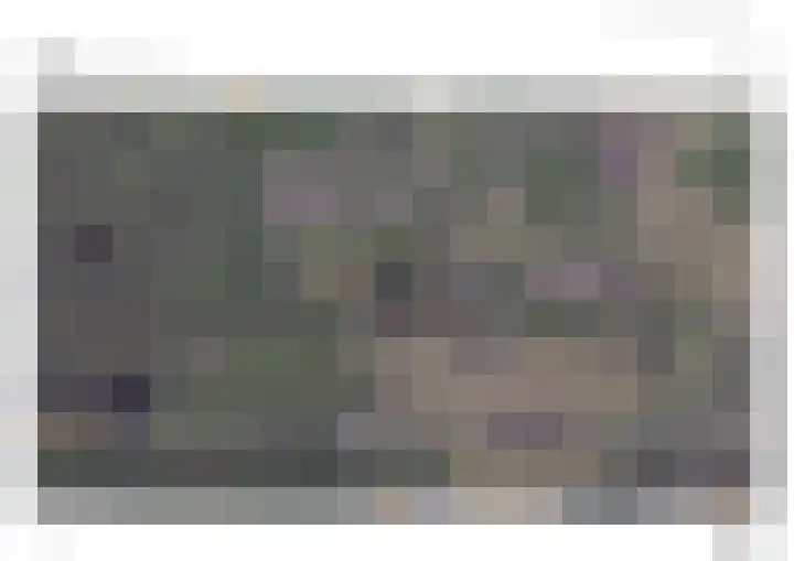 De Tunen 1 Ryptsjerk thumbnail 6