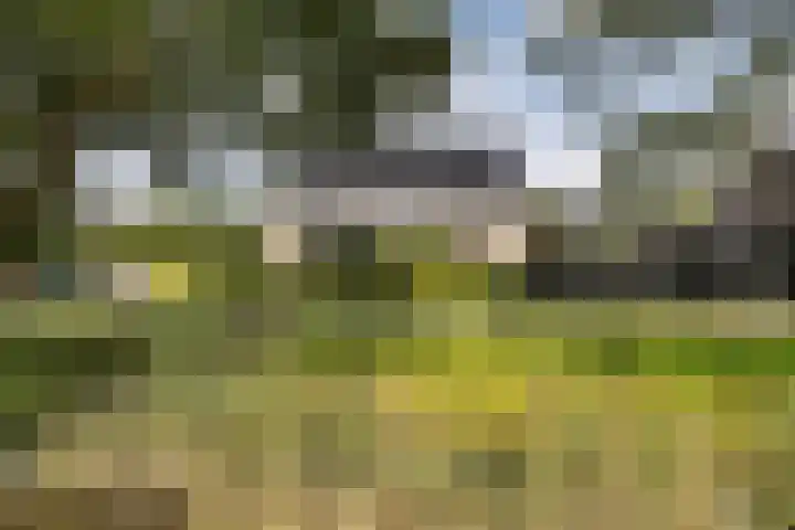 De Tunen 13 Ryptsjerk thumbnail 11