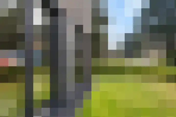De Tunen 13 Ryptsjerk thumbnail 13