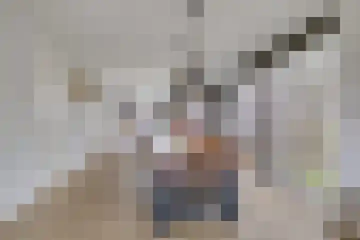 De Tunen 13 Ryptsjerk thumbnail 17