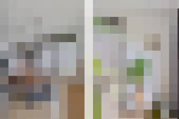 De Tunen 13 Ryptsjerk thumbnail 21