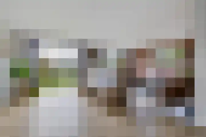 De Tunen 13 Ryptsjerk thumbnail 22