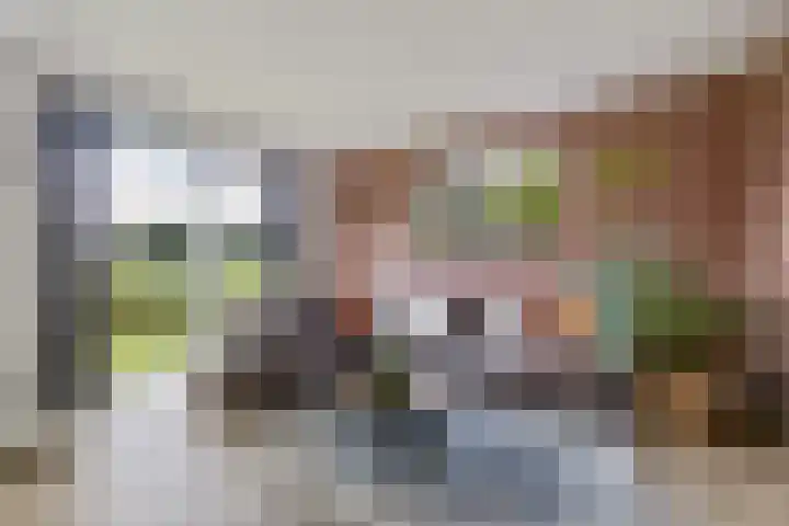 De Tunen 13 Ryptsjerk thumbnail 24