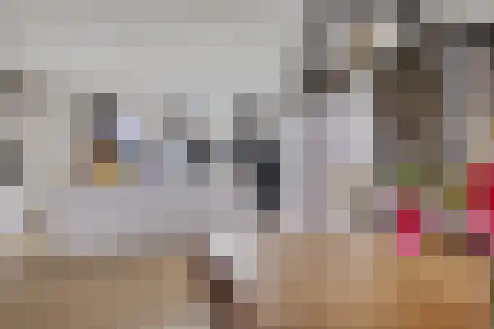 De Tunen 13 Ryptsjerk thumbnail 27