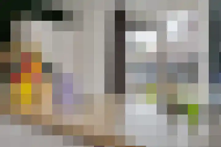 De Tunen 13 Ryptsjerk thumbnail 28