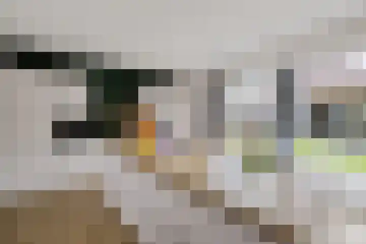De Tunen 13 Ryptsjerk thumbnail 29