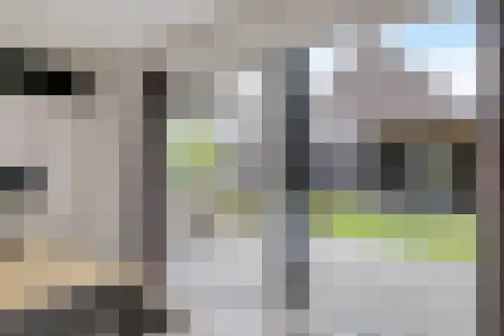 De Tunen 13 Ryptsjerk thumbnail 30
