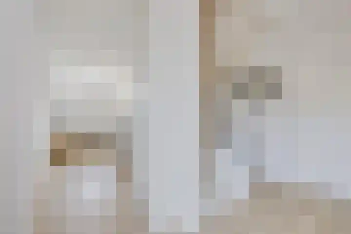 De Tunen 13 Ryptsjerk thumbnail 36