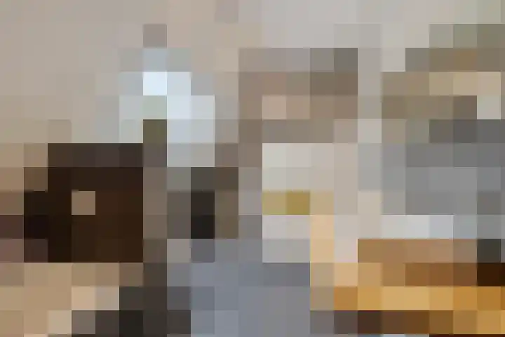 De Tunen 13 Ryptsjerk thumbnail 43