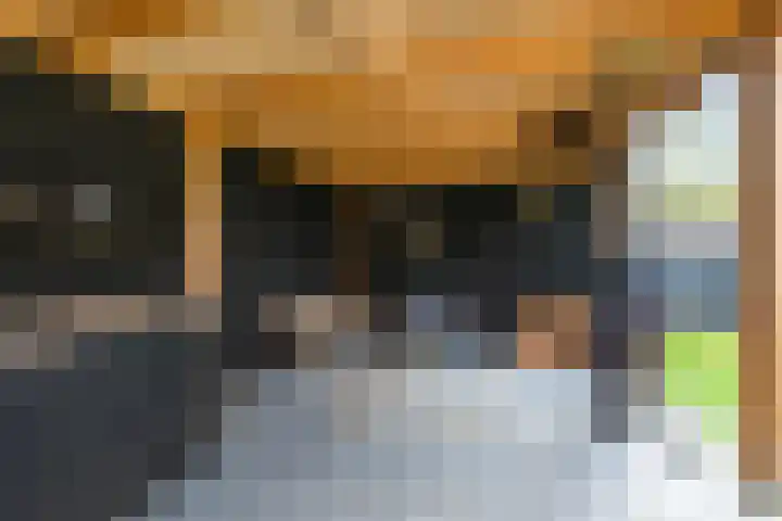 De Tunen 13 Ryptsjerk thumbnail 51