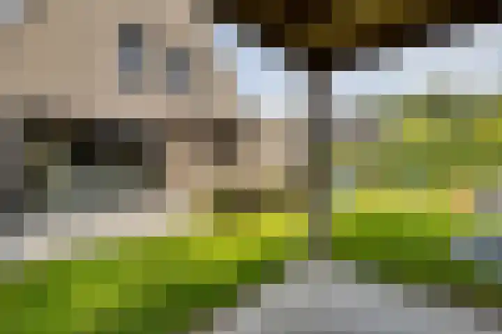 De Tunen 13 Ryptsjerk thumbnail 53