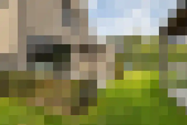 De Tunen 13 Ryptsjerk thumbnail 54