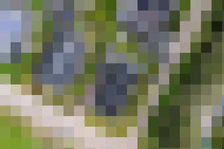 De Tunen 13 Ryptsjerk thumbnail 56