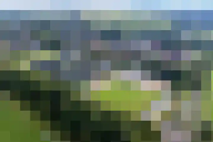 De Tunen 13 Ryptsjerk thumbnail 57