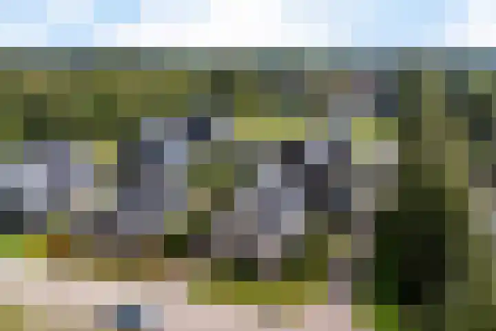 De Tunen 13 Ryptsjerk thumbnail 58