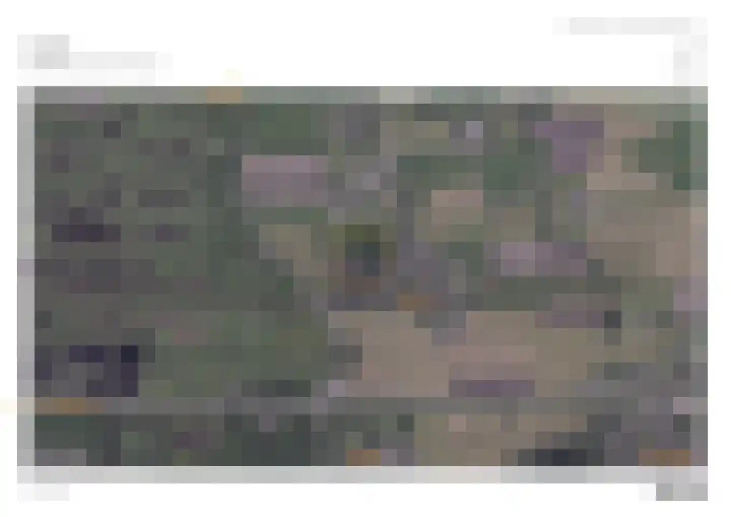 De Tunen 3 Ryptsjerk thumbnail 9