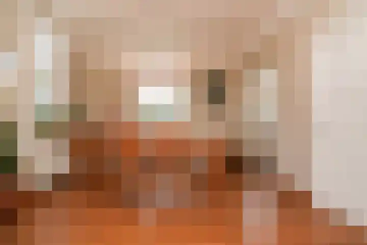 de Tuut 2 Appeltern thumbnail 12