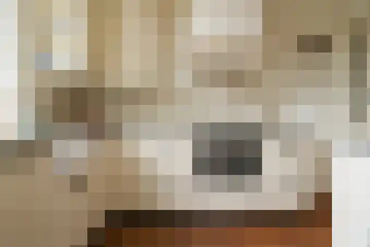 de Tuut 2 Appeltern thumbnail 15
