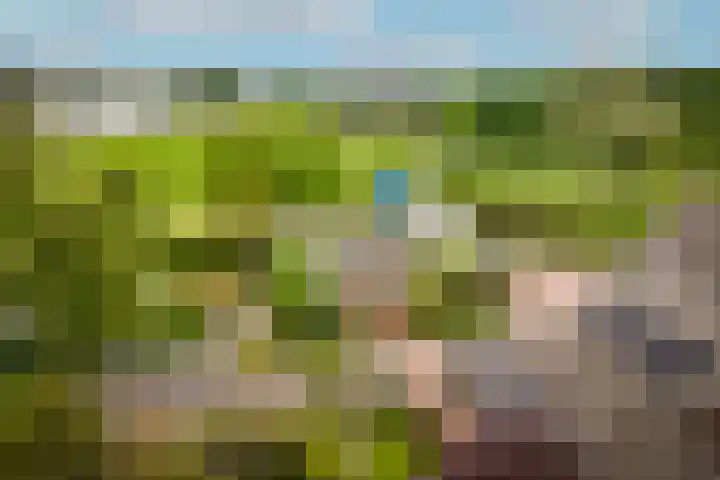 de Tuut 2 Appeltern foto 2