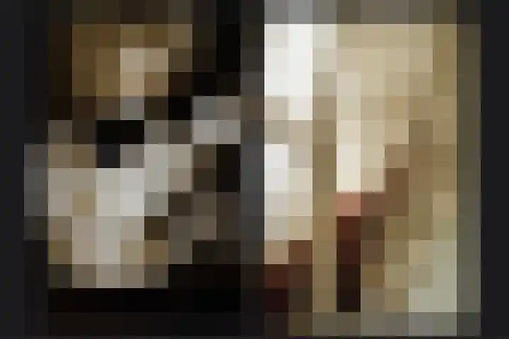 de Tuut 2 Appeltern thumbnail 20