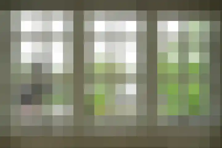de Tuut 2 Appeltern thumbnail 28