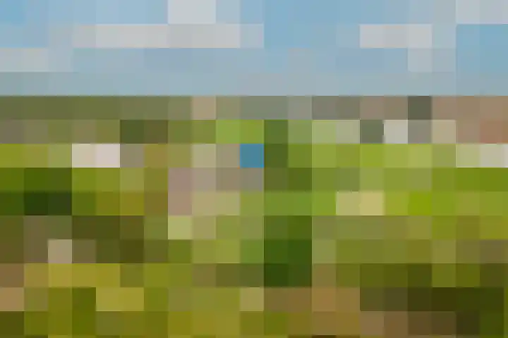 de Tuut 2 Appeltern foto 3