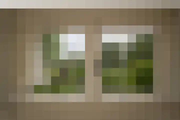 de Tuut 2 Appeltern thumbnail 31
