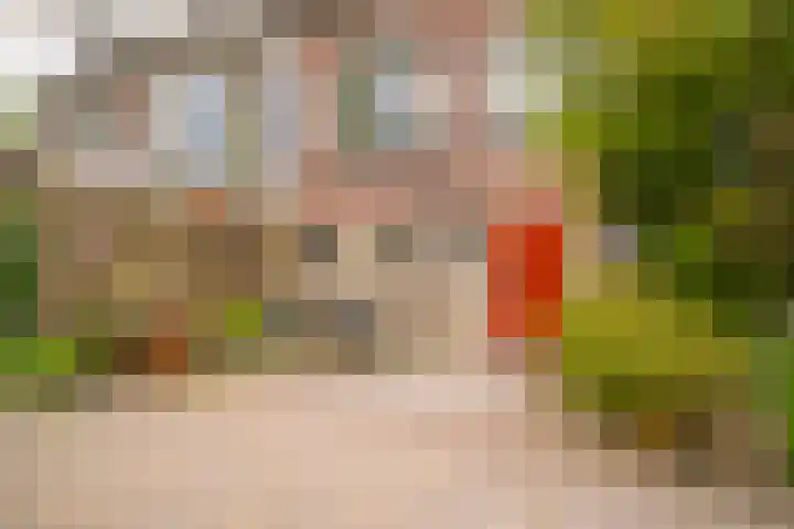 de Tuut 2 Appeltern thumbnail 36