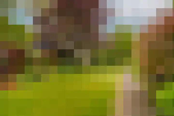 de Tuut 2 Appeltern thumbnail 38