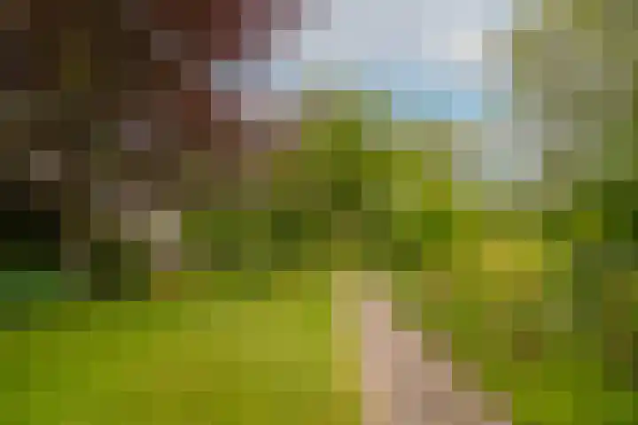 de Tuut 2 Appeltern thumbnail 39