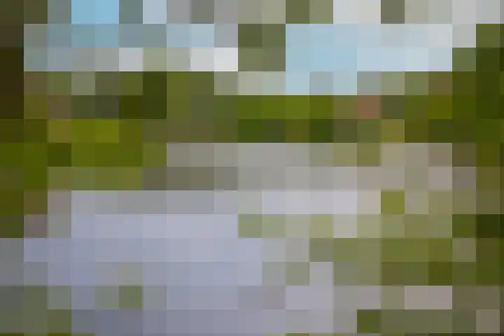 de Tuut 2 Appeltern thumbnail 4