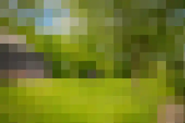 de Tuut 2 Appeltern thumbnail 40