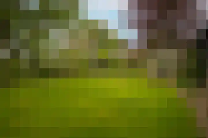 de Tuut 2 Appeltern thumbnail 41