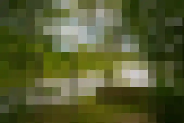 de Tuut 2 Appeltern thumbnail 42