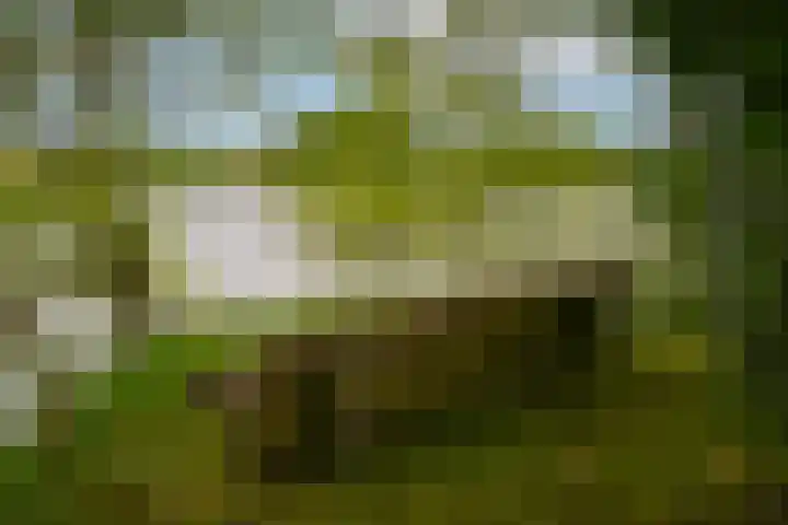 de Tuut 2 Appeltern thumbnail 43