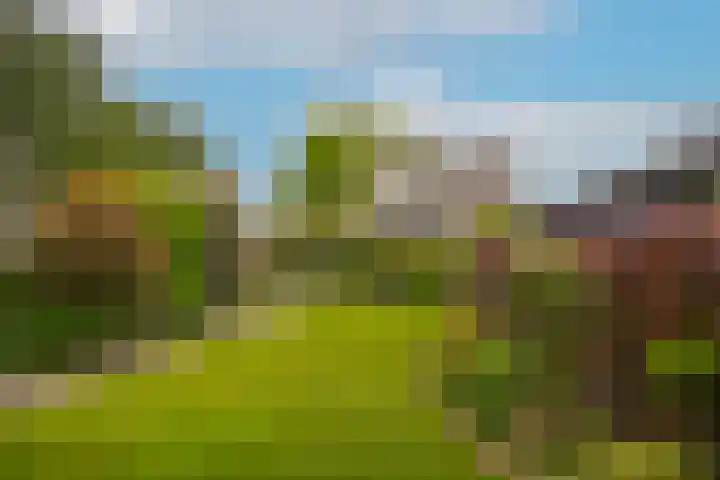 de Tuut 2 Appeltern thumbnail 44