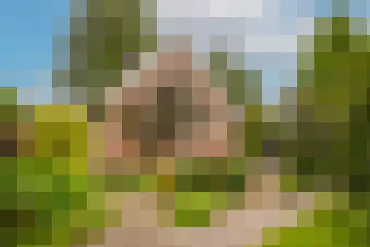 de Tuut 2 Appeltern thumbnail 45