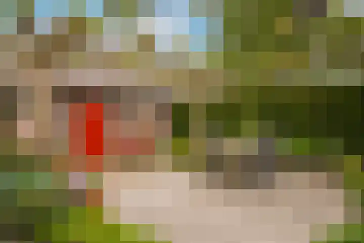 de Tuut 2 Appeltern thumbnail 46