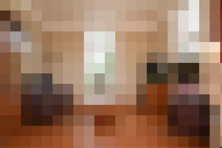 de Tuut 2 Appeltern thumbnail 5