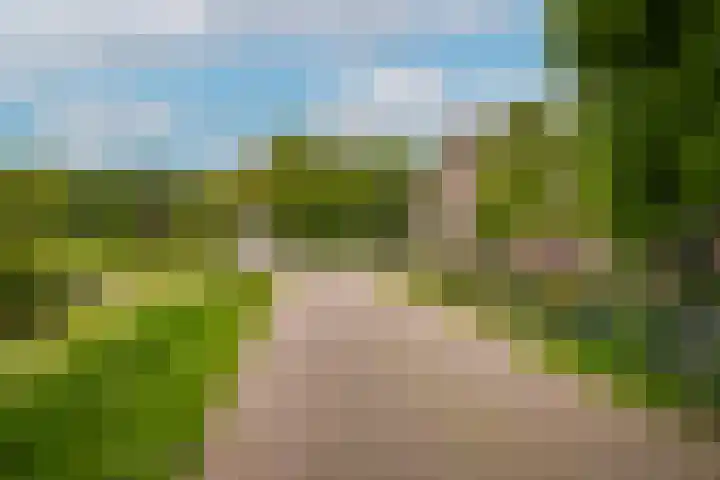 de Tuut 2 Appeltern thumbnail 50