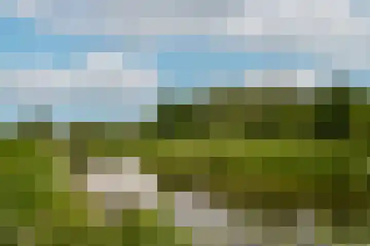 de Tuut 2 Appeltern thumbnail 51