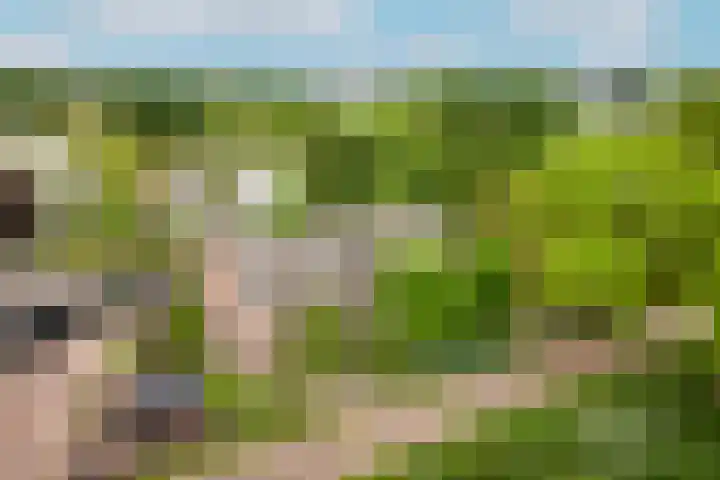 de Tuut 2 Appeltern thumbnail 52